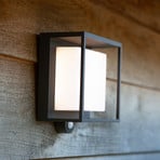 Curtis LED solar light, motion sensor