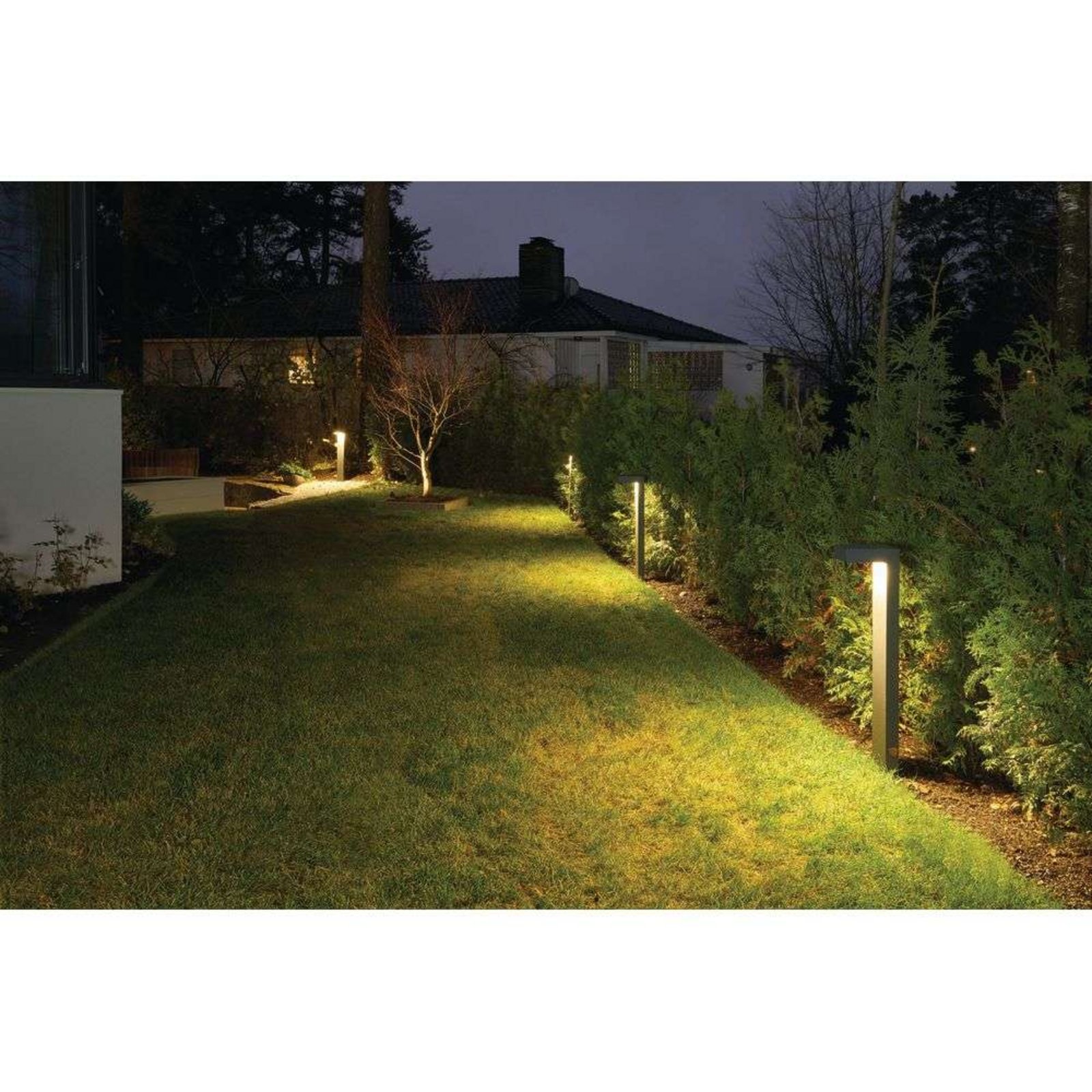 Asker LED Lampă de Stâlp de Exterior H55 Grafit - Norlys