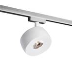 LED track spotlight Vibo Volare 927 white/chrome 10°