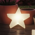 Paulmann Plug & Shine Lampe décorative LED Star Ø 40cm