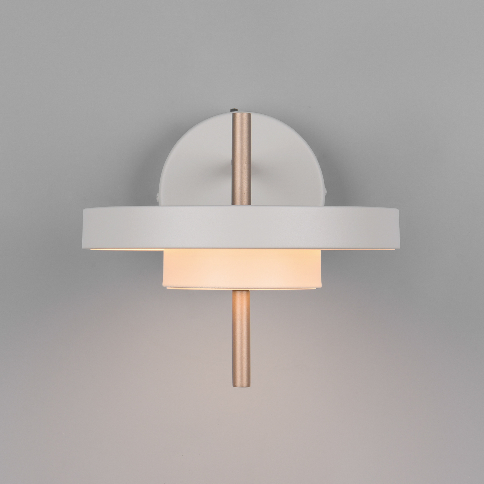 LED stenska svetilka Keaton, svetlo siva, Ø 20 cm, kovina, CCT LED stenska svetilka Keaton, svetlo siva, Ø 20 cm, kovina, CCT