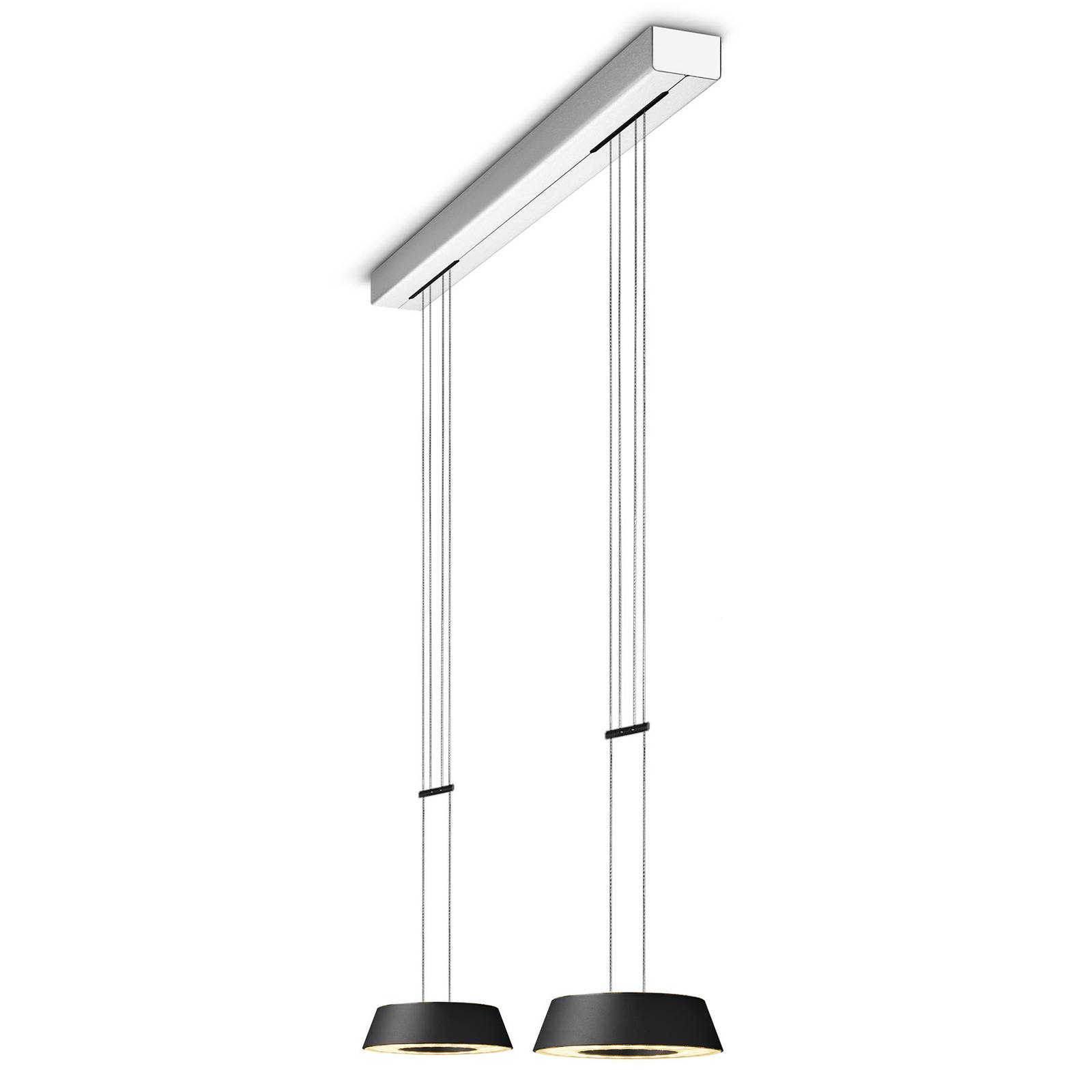 Oligo LED Pendant Light - Living / Dining Room - Hanging Light - dimmable - Modern - Black