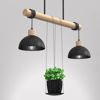 Hanglamp Pianta met plantenpot, 2-lamps
