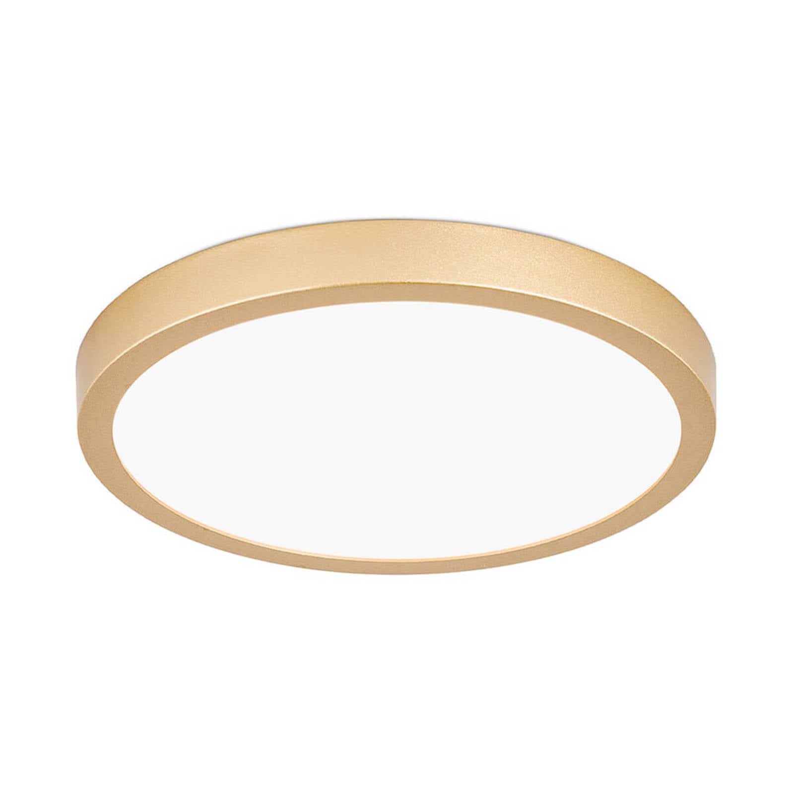 LED-Deckenleuchte Vika, rund, gold matt, Ø 23cm