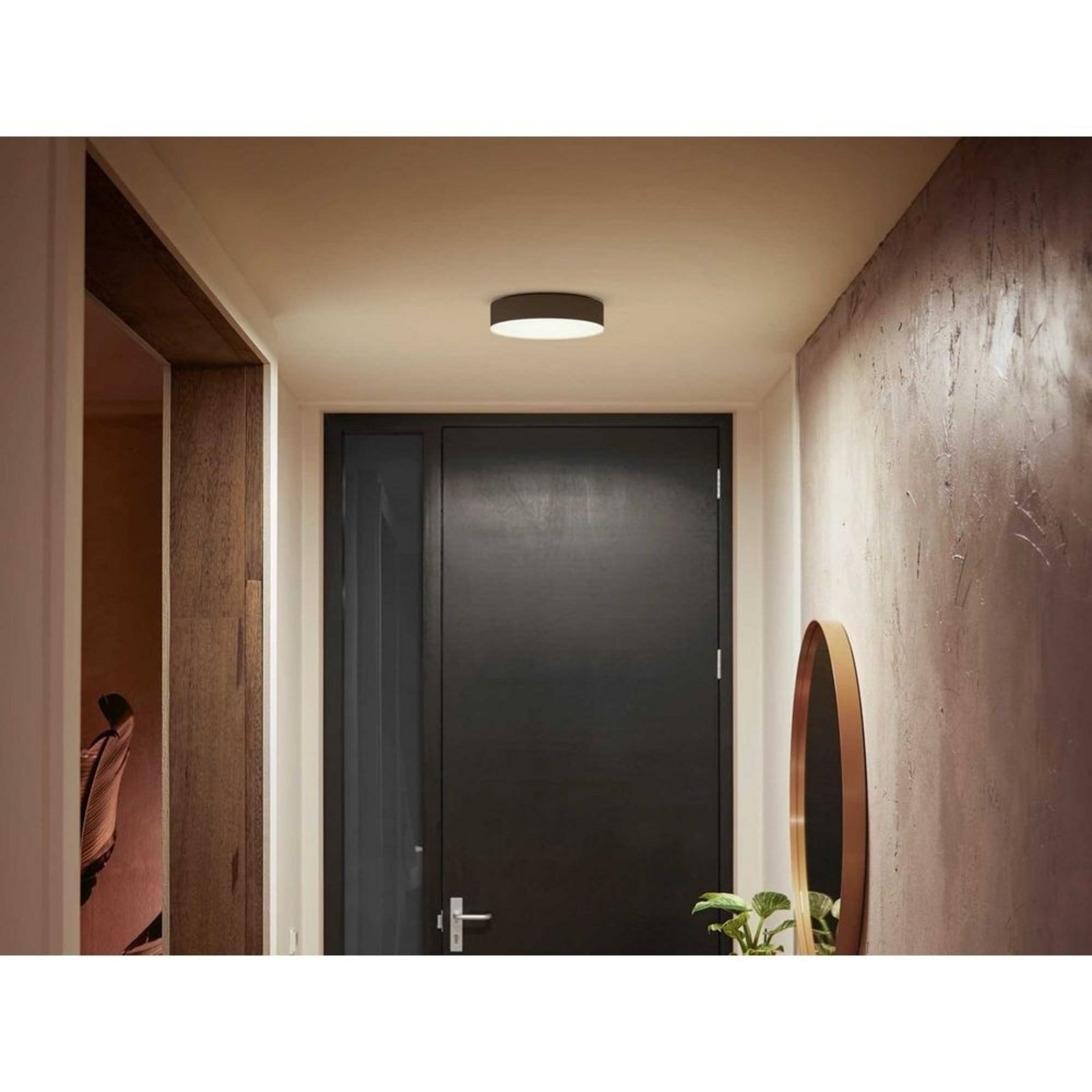 Hue Enrave S Stropna Lampa White Amb. Black - Philips Hue