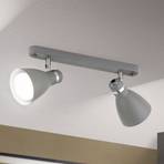 School ceiling spotlight, two-bulb, grey