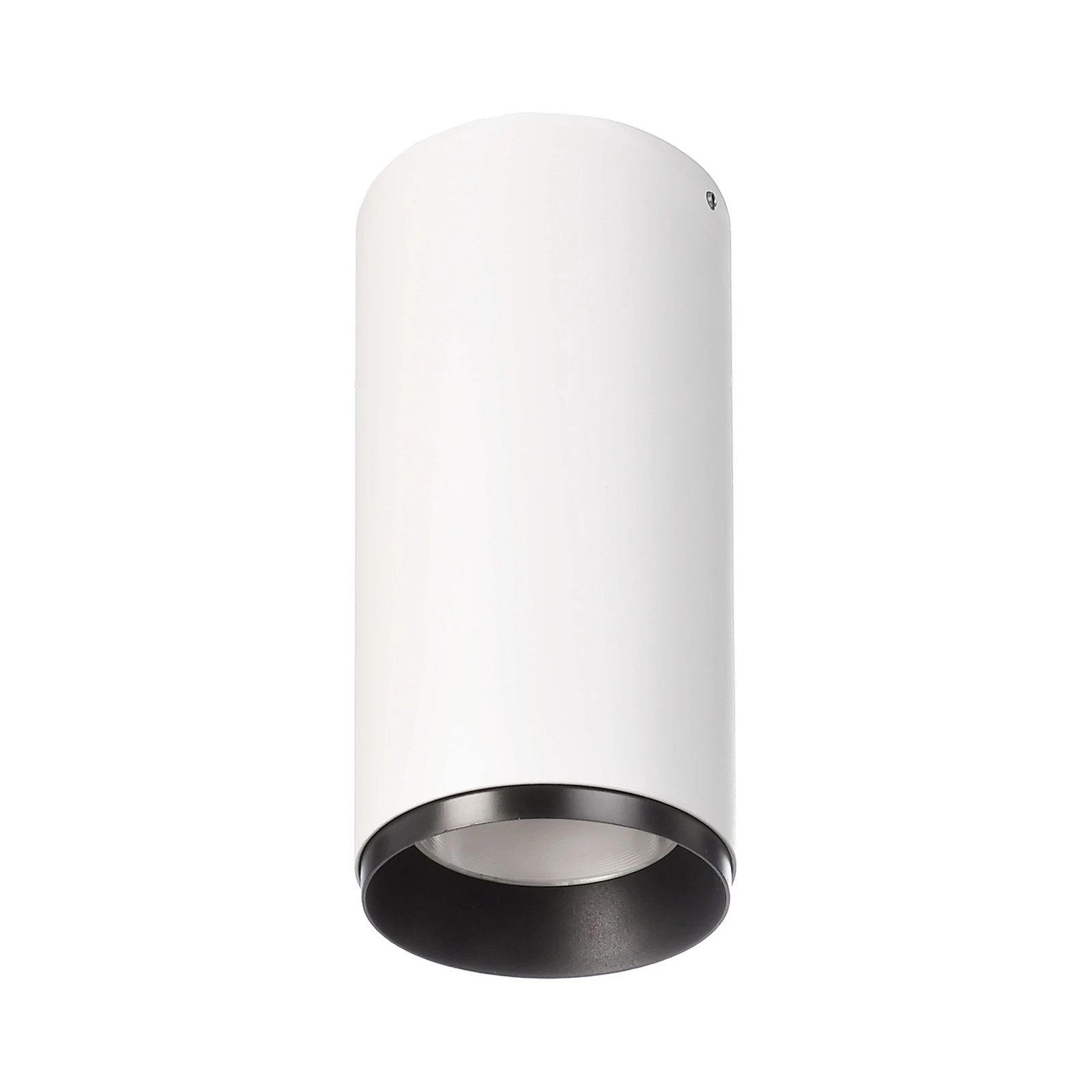 LED montuojamas žemyn nukreiptas šviestuvas Lucea 20 W baltas