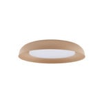 Florie LED Kattovalaisin Beige - Lindby