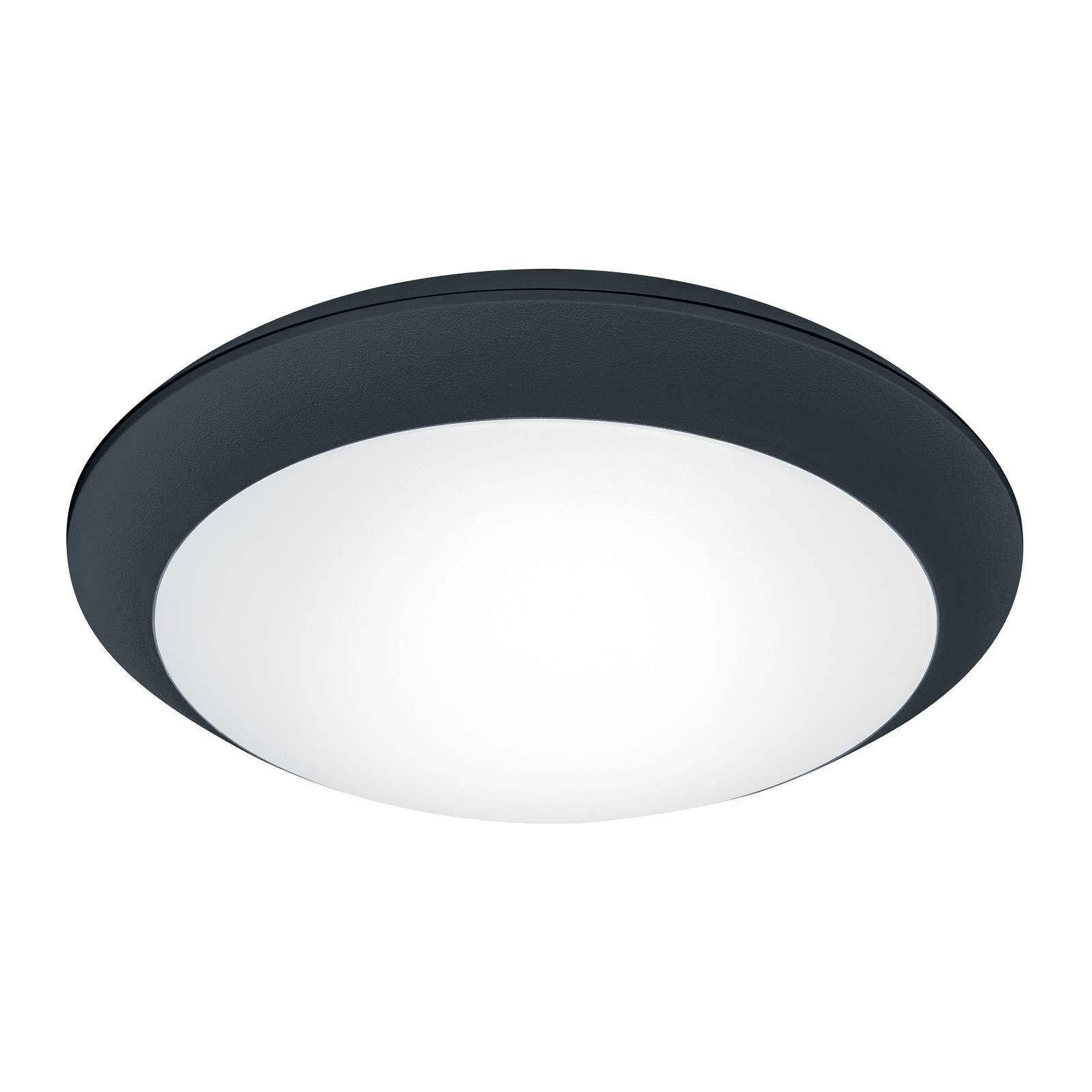 THORNeco Tom Vario LED-Wandleuchte 20 W schwarz günstig online kaufen