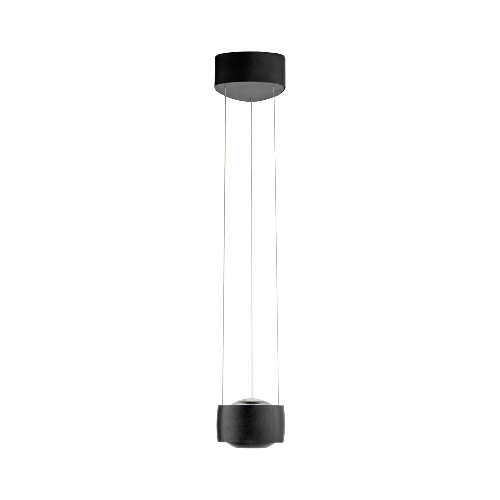 Paul Neuhaus LED függő világítás Q-Stretto, fekete, Ø 14,5 cm