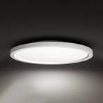 Philips Hue White Ambiance Aurelle LED-paneeli pyö