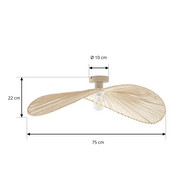 product size