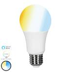 Mueller Light tint white LED bulb E27 9 W, CCT