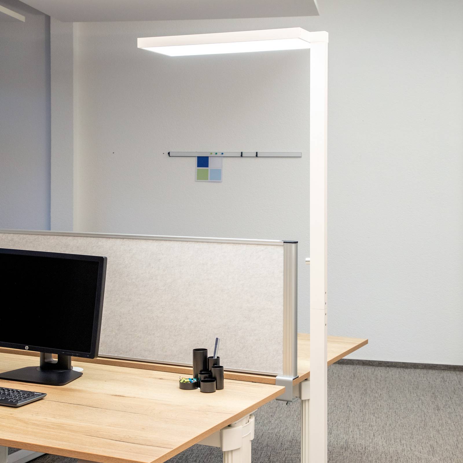 LED-Büro-Stehleuchte MAULjura, weiß, Alu, 196,5 cm, 4000 K günstig online kaufen