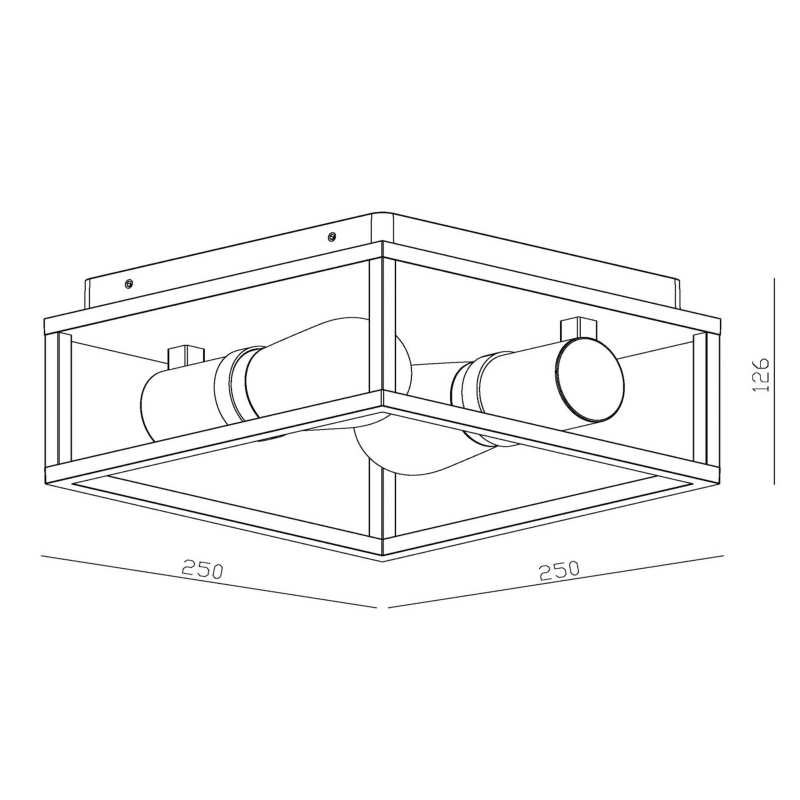 Taklampe Carlyn baderom 2 lyskilder svart