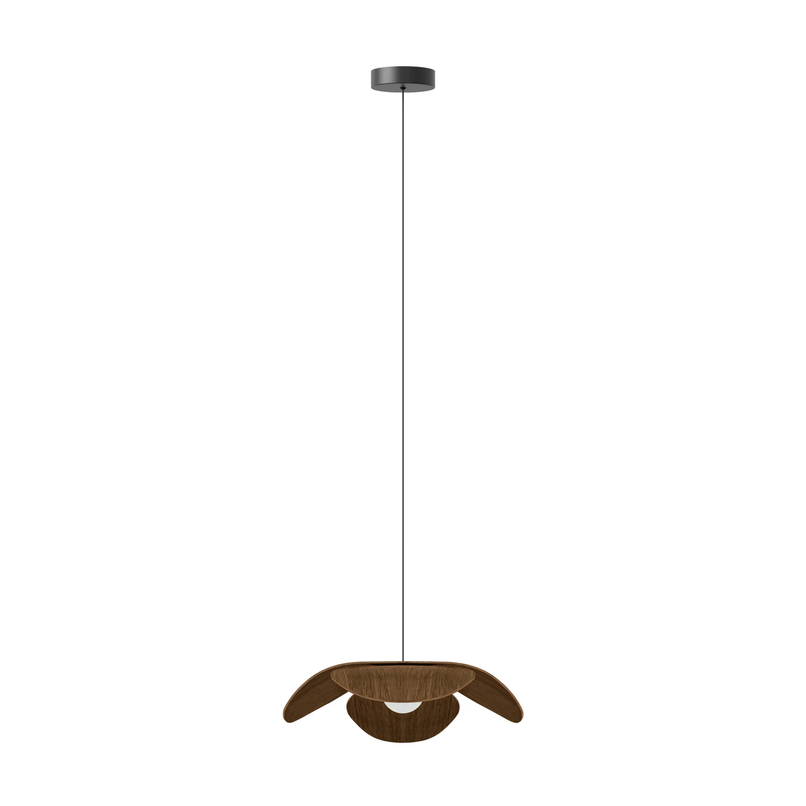 UMAGE Forget Me Not medium pendant lamp, 1-bulb, dark oak