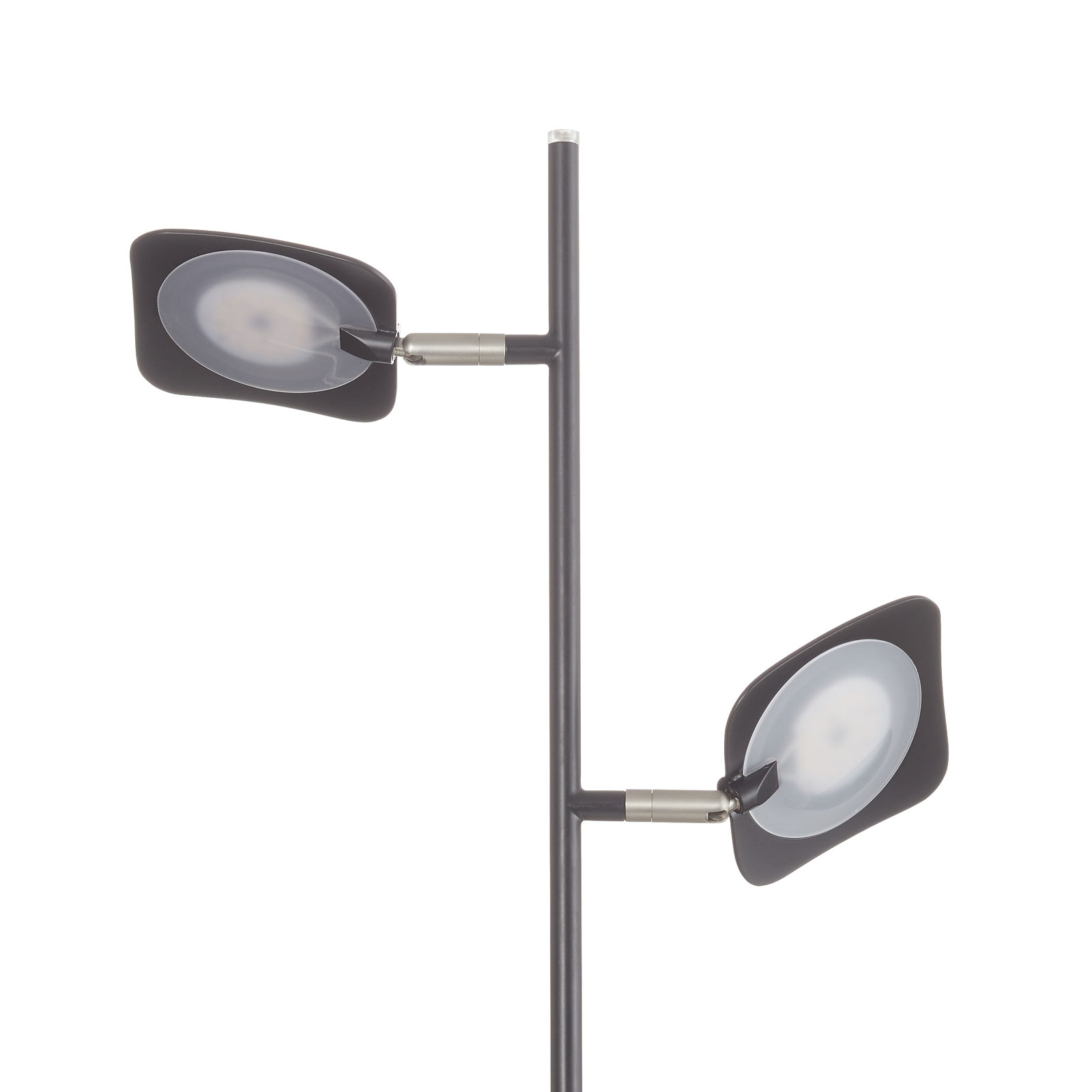 Raggio LED-gulvlampe, 2 lyskilder, sort