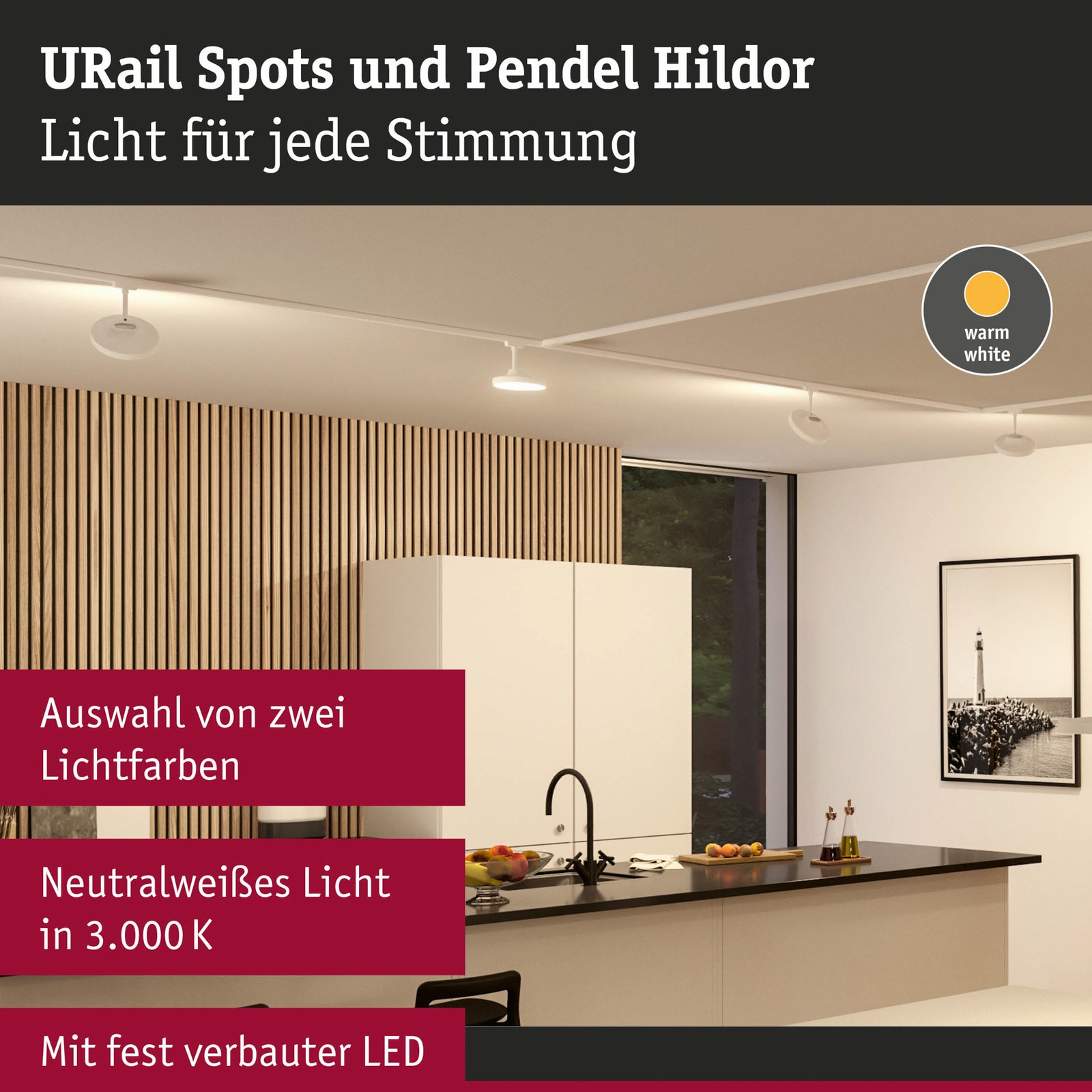 Paulmann URail Hildor -LED-spotti valkoinen 3 000K