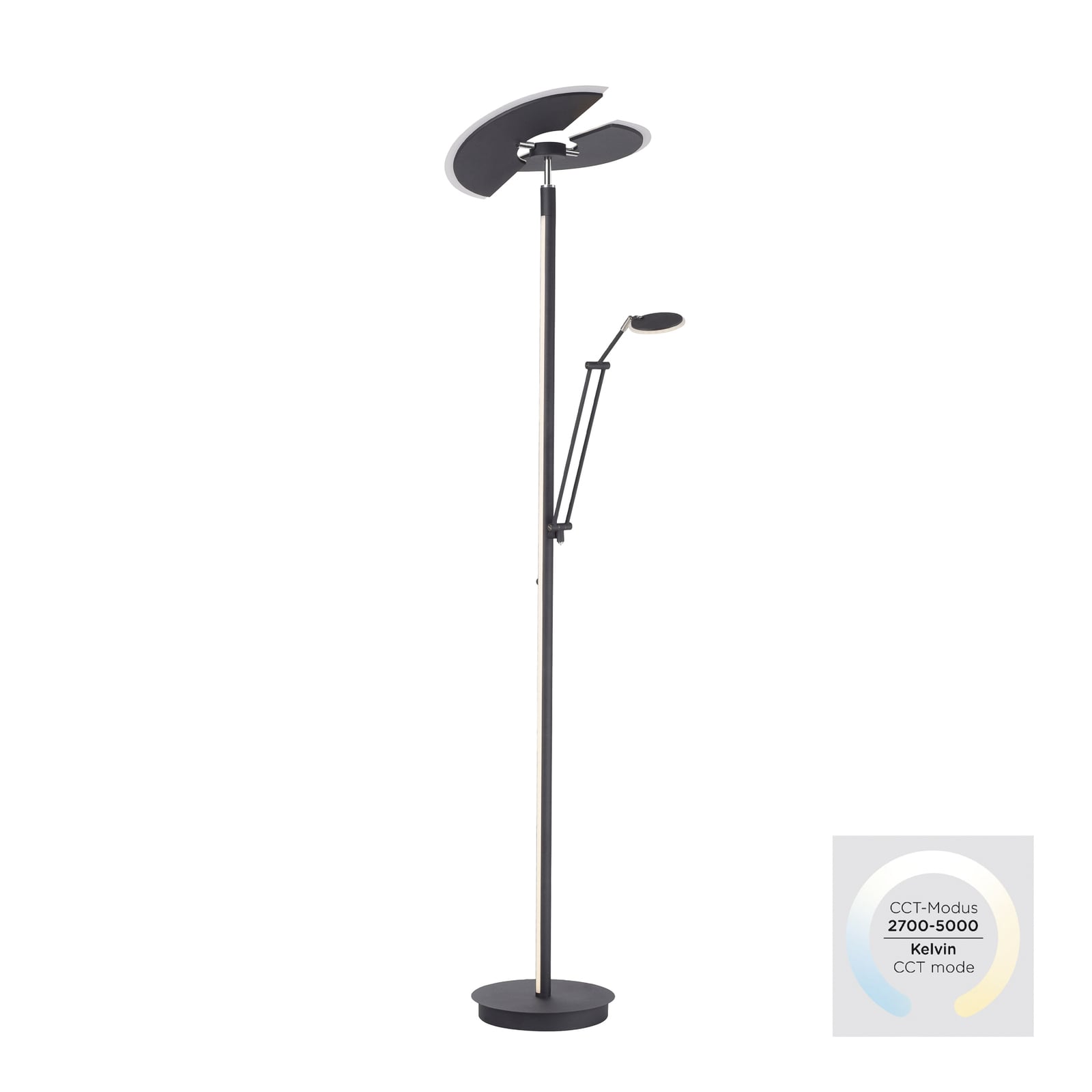 Mutil LED-Stehleuchte, graphite, Leselampe, CCT - PURE Mutil LED-Stehleuchte, graphite, Leselampe, CCT - PURE