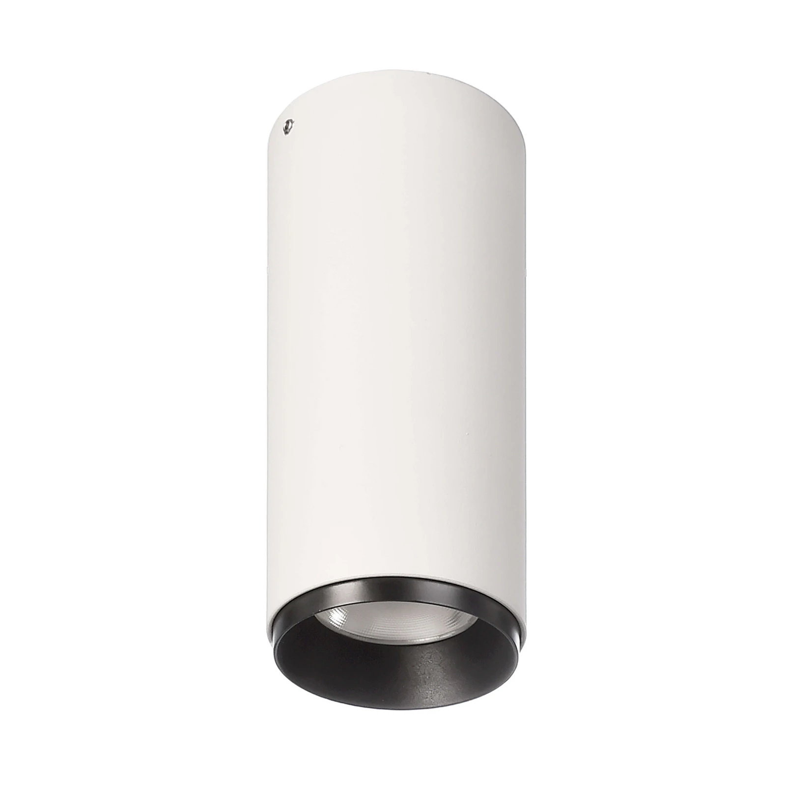 Spot encastrable LED Lucea 10 W blanc
