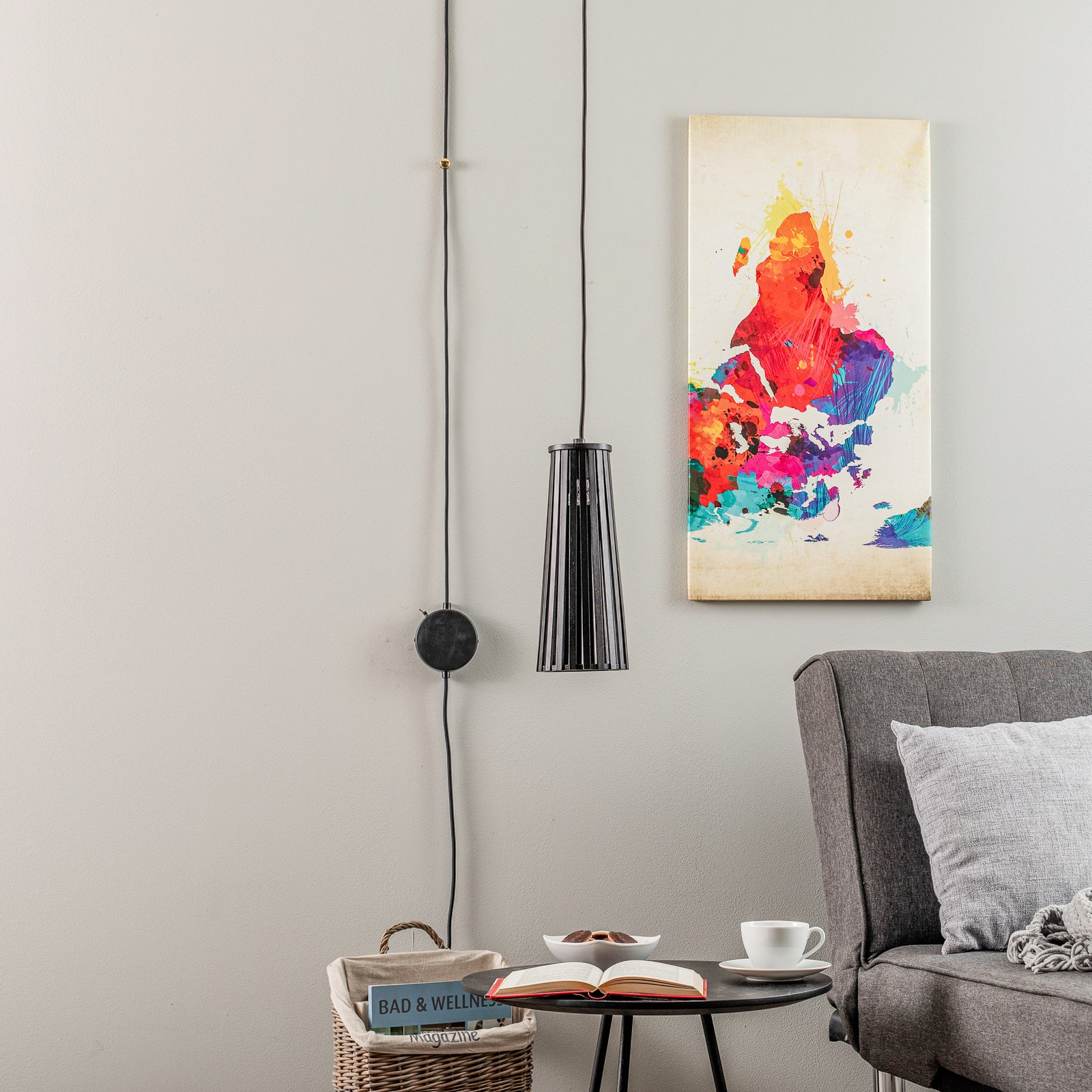 Dover wall light with a plug, black, one-bulb