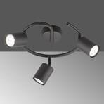 Vano LED ceiling spotlight, black, 3-bulb round