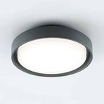 EVN Tectum LED zunanja stropna svetilka, okrogla, Ø 25 cm
