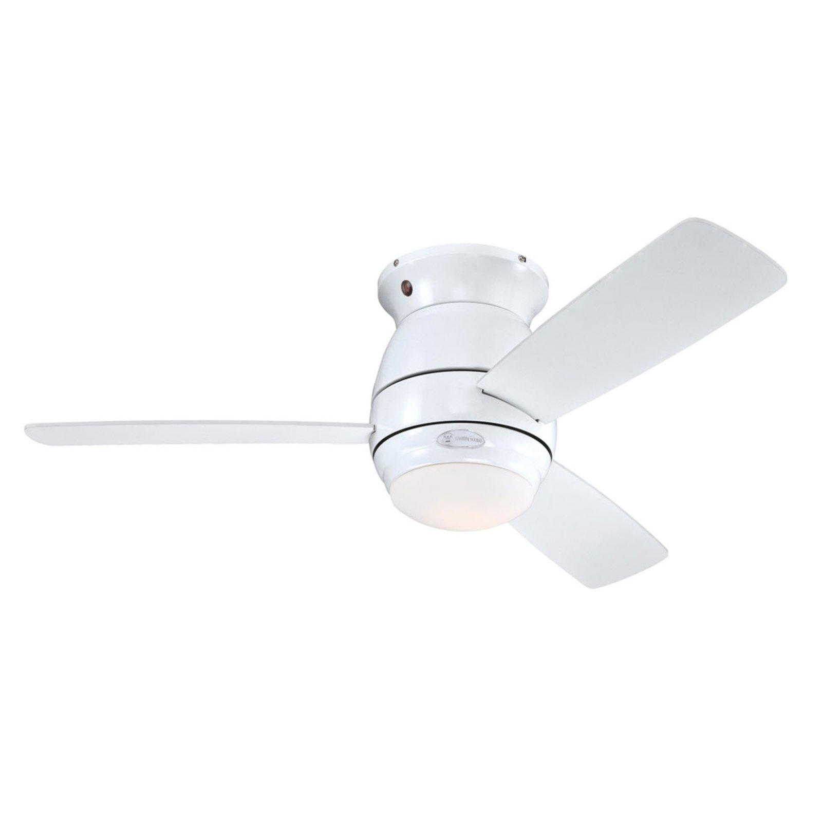 Westinghouse Halley ventilateur, blanc/érable