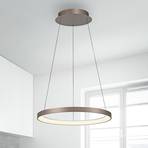 Paul Neuhaus LED závěsná lampa Hoop, kávově hnědá, Ø 57 cm