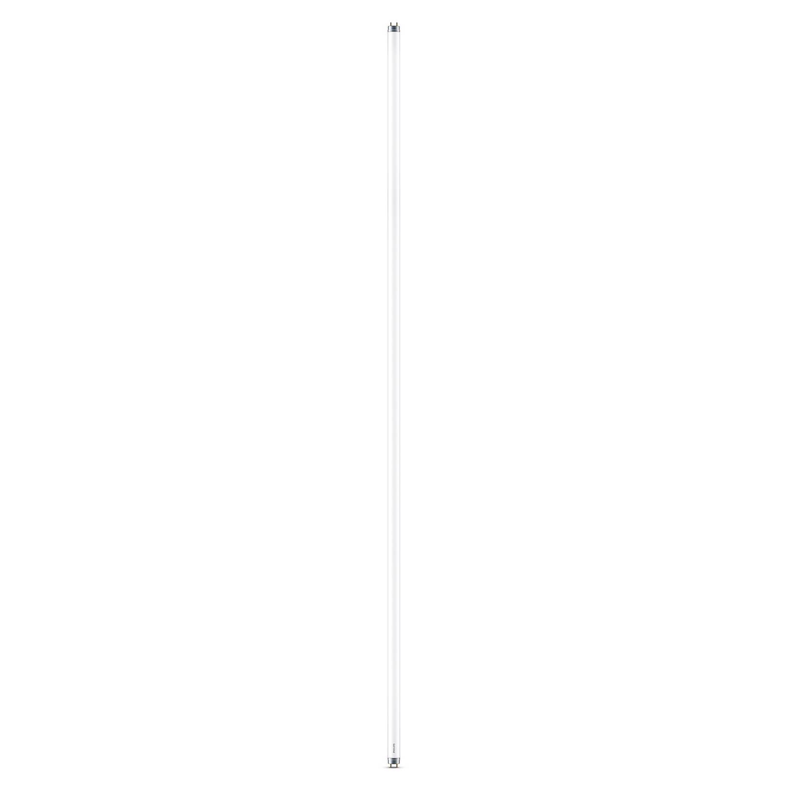 Philips LED-Tube T8 G13 150cm 19,5W 3.000K 2.000lm