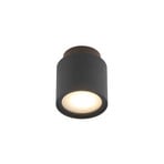 Walisa Plafondlamp Black/Frosted - Arcchio