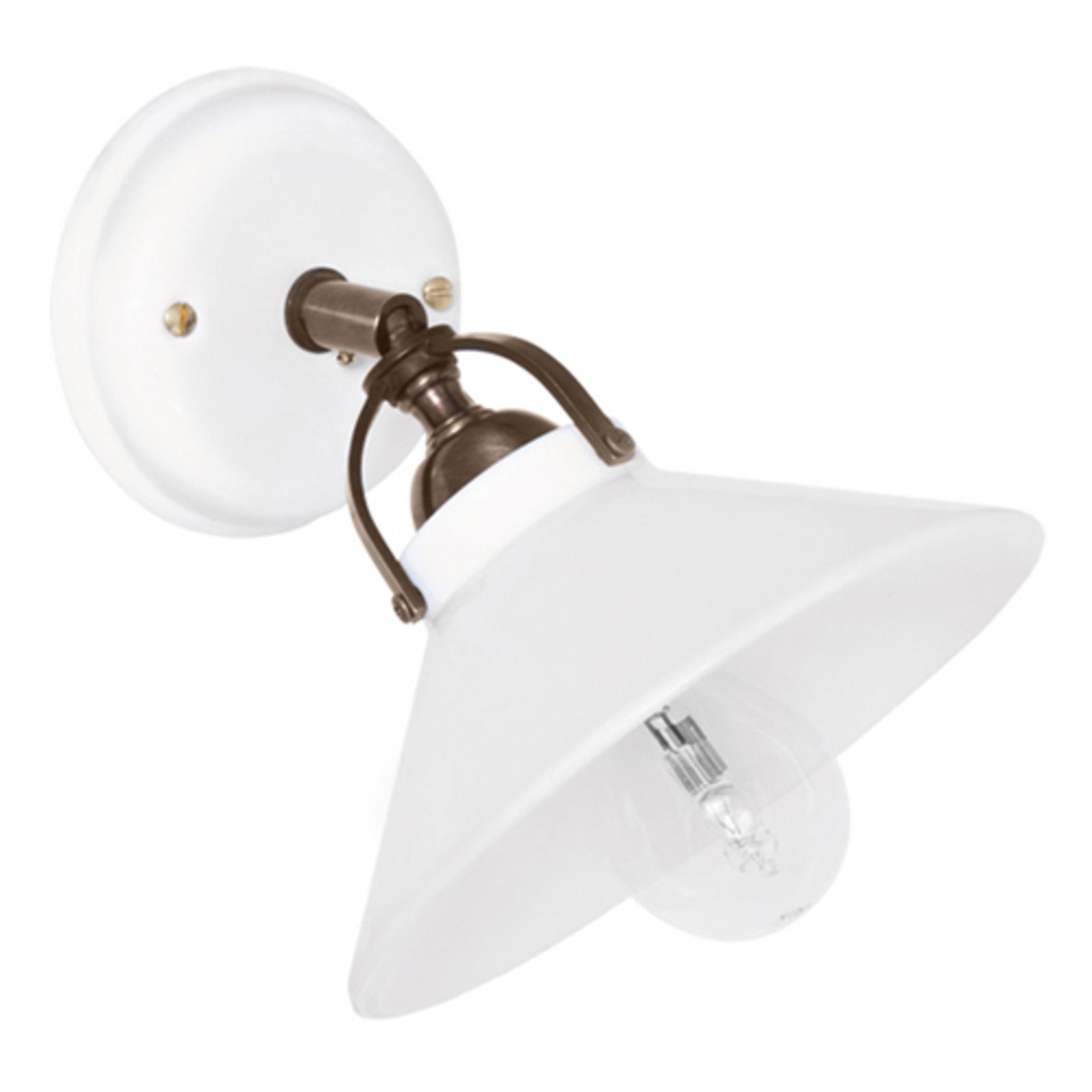 Ike rotatable and pivotable wall light