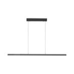 Lámpara colgante LED Adriana Comfort Lift de Paul Neuhaus, gris, CCT
