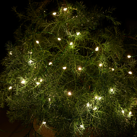 Incl. timer - LED lichtketting Knirke, 40 lampjes.