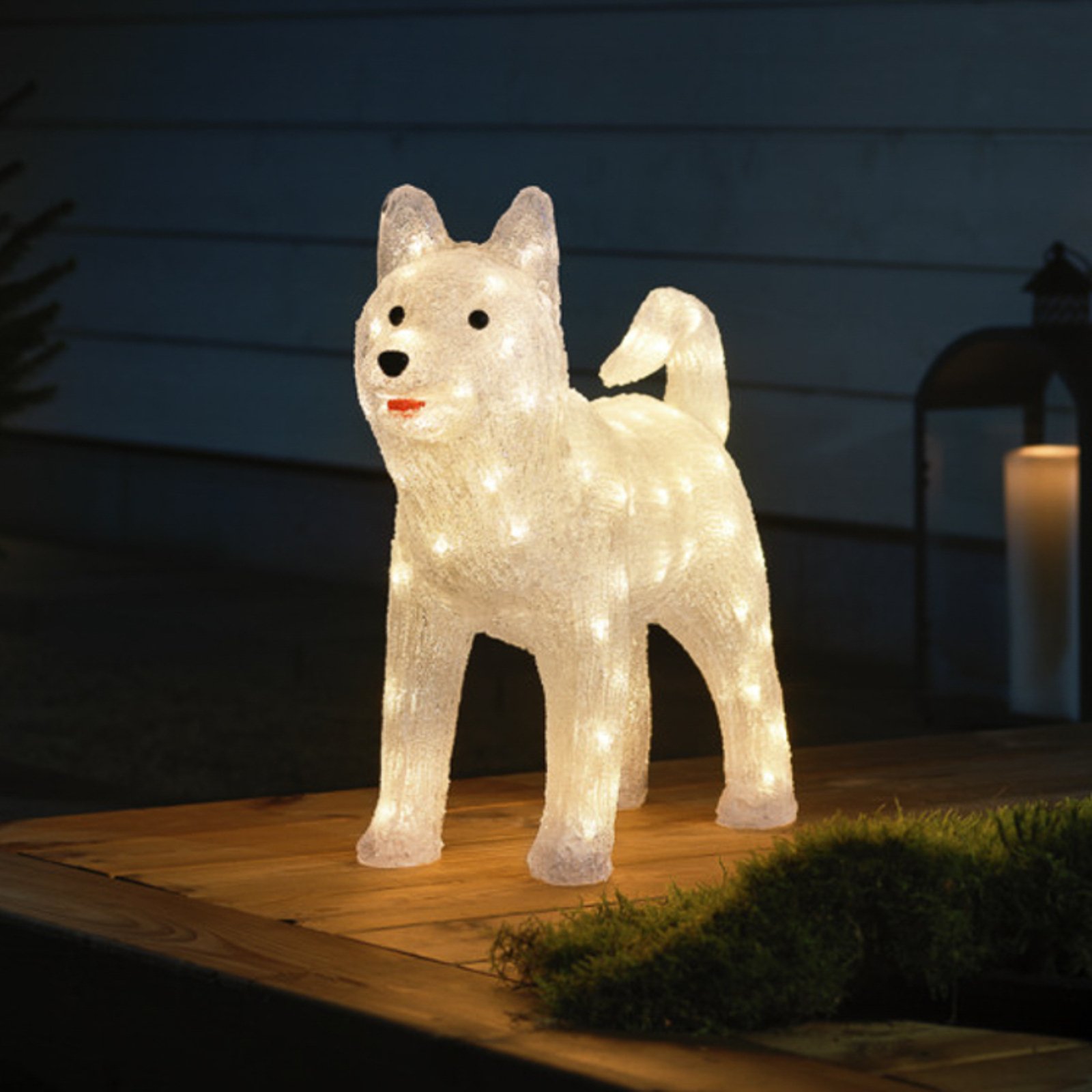LED decoratie figuur husky helder IP44 hoogte 43cm