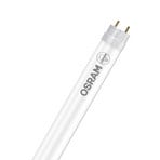 OSRAM LED spuldze T8 6.6W caurule Bio-Lumilux 965 60cm