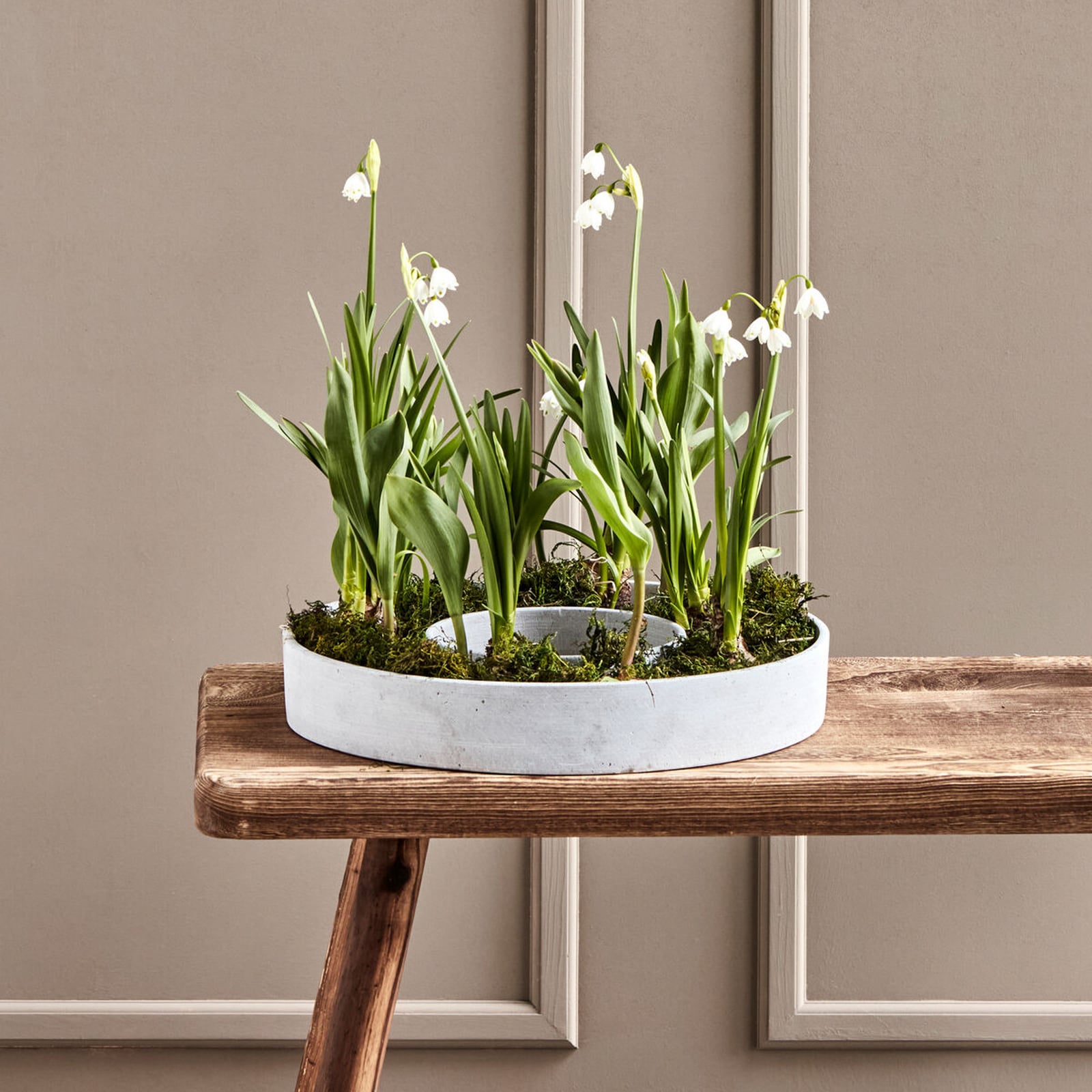 Jardinière Ring, Ø 35 cm, béton, gris - House Doctor