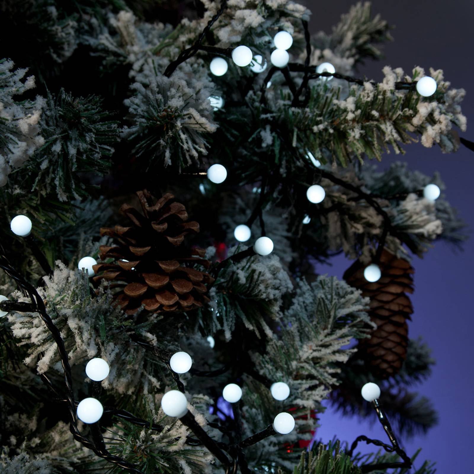 LED-Lichterkette für Außen 80fl., tageslicht kaufen | Lampenwelt.ch