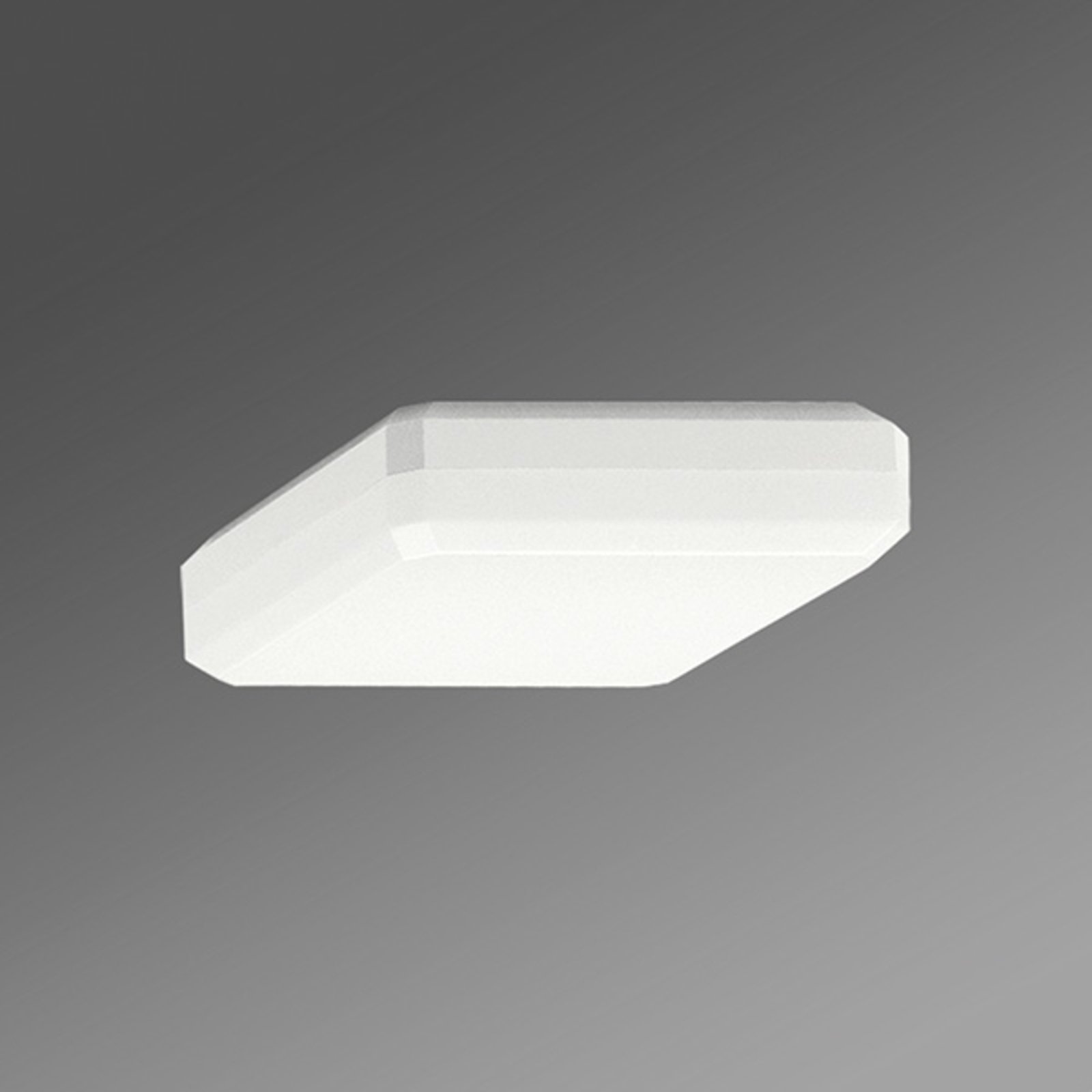 Regiolux Square WQL ceiling lamp opal diffuser warm white, for Hallway, plastic, 13 W, energy efficiency: A+, L: 30 cm, W: 30 cm, H: 8.3 cm