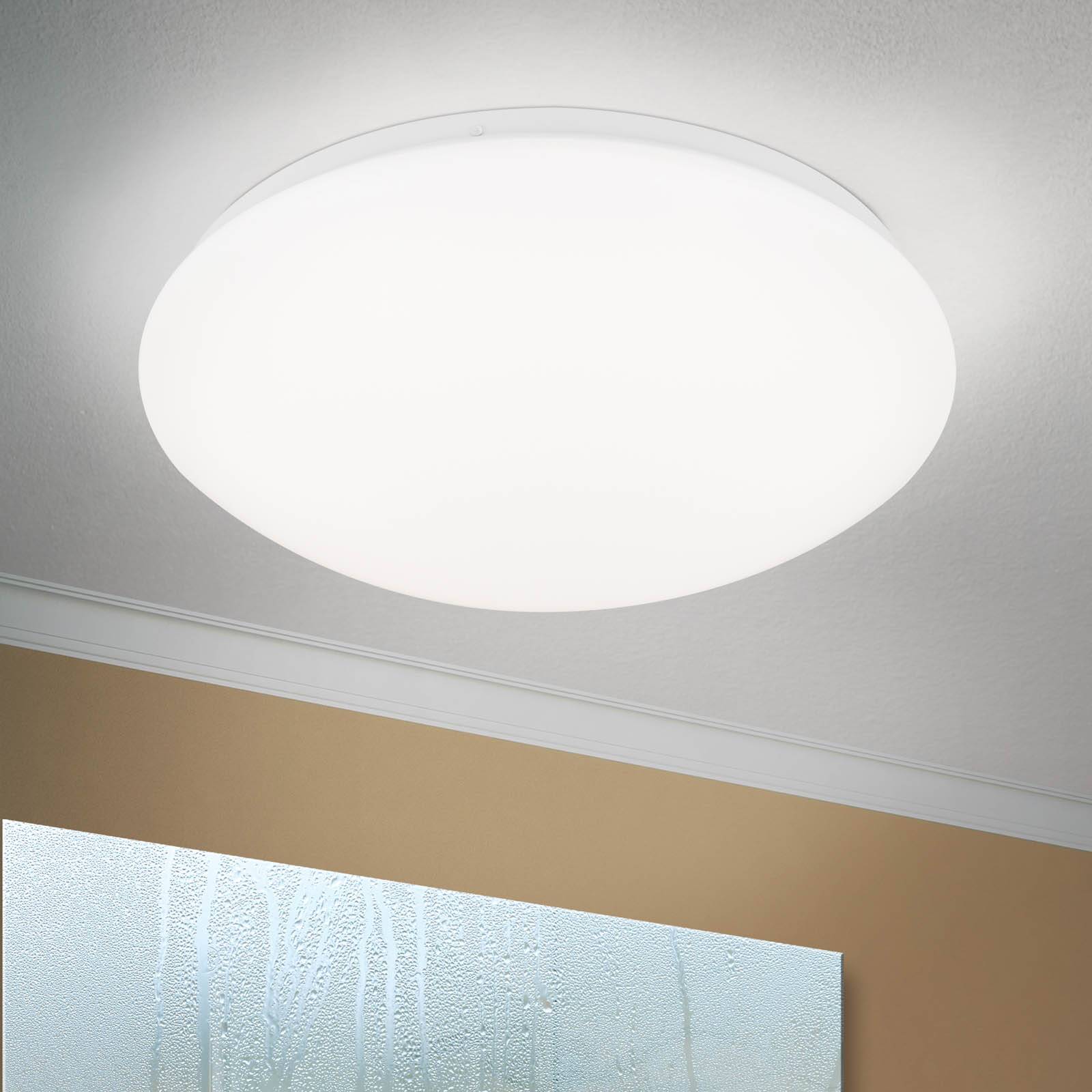 E-shop LED stropné svietidlo Nedo zakrivené, Ø 33 cm