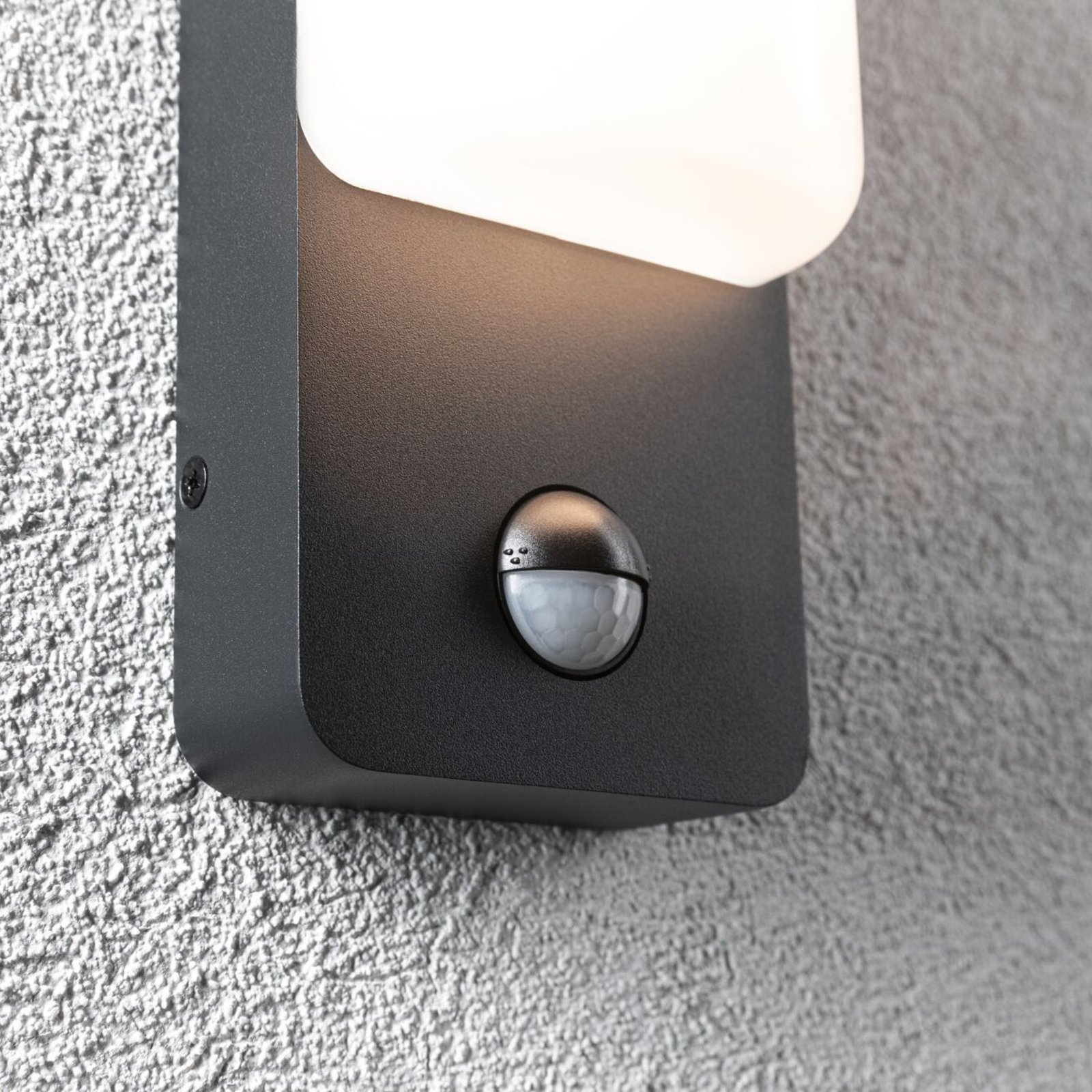 Bonnie Buiten Wandlamp met Sensor 2200-3000K SWR Antraciet - Paulmann