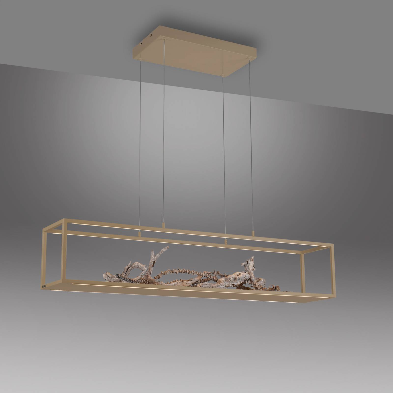 Paul Neuhaus żyrandol LED Contura, kolor piaskowy, 105 cm