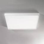 LED plafondlamp Tara Maxi, 74 cm x 74 cm