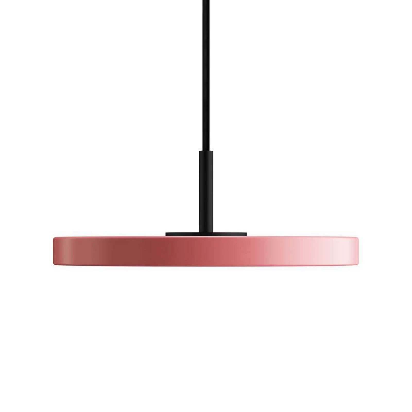 Asteria Pendel Micro Nuance Rose/Black Top UMAGE - Spisestue - Metal