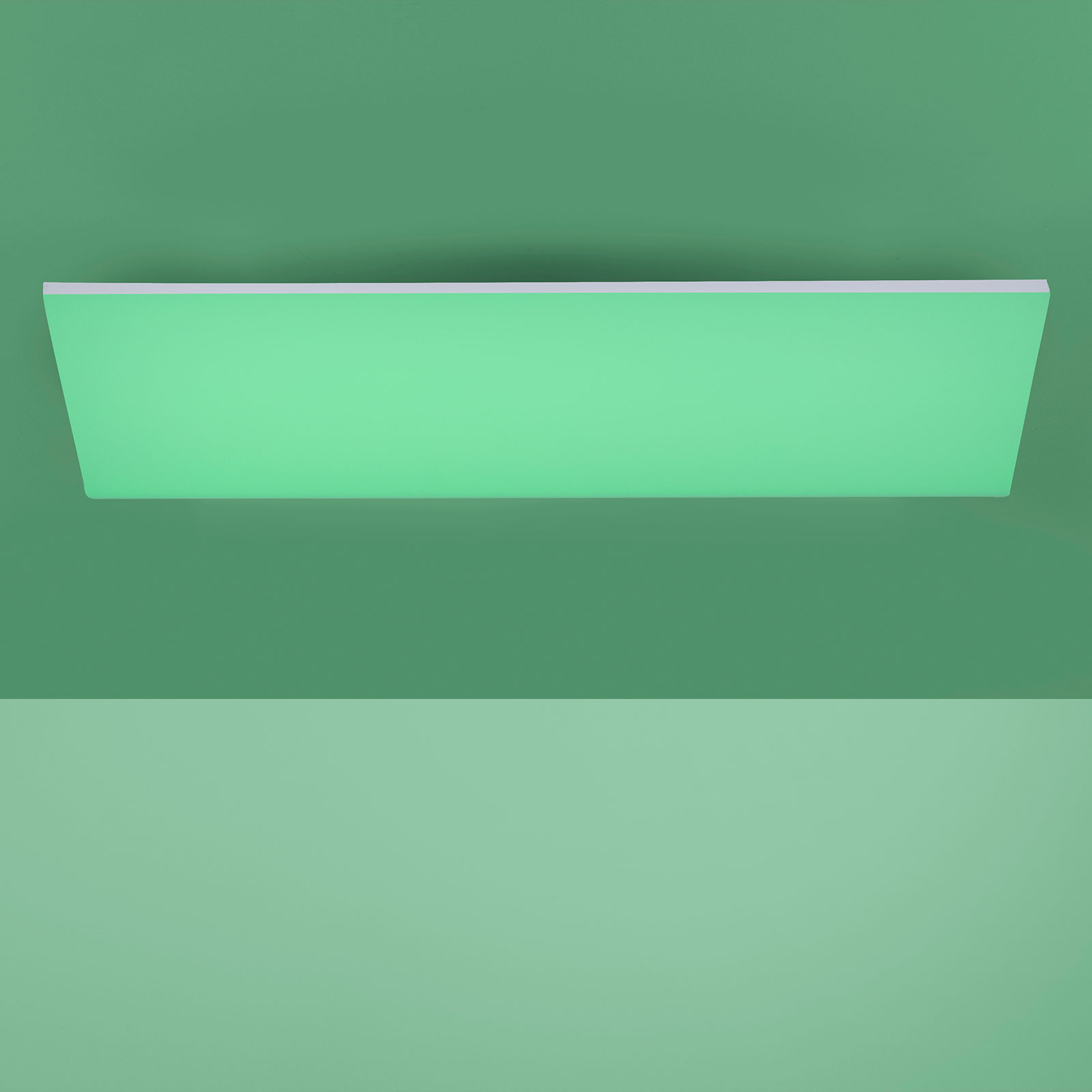 Paul Neuhaus Frameless loftlampe RGBW 60 x 30 cm