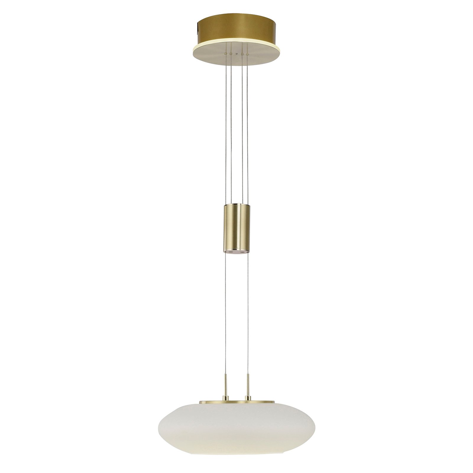 Paul Neuhaus Q-ETIENNE LED hanglamp 1-lamp messing