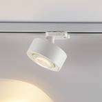 Molto Luce Projecteur LED triphasé sur rail Mag, blanc, 830