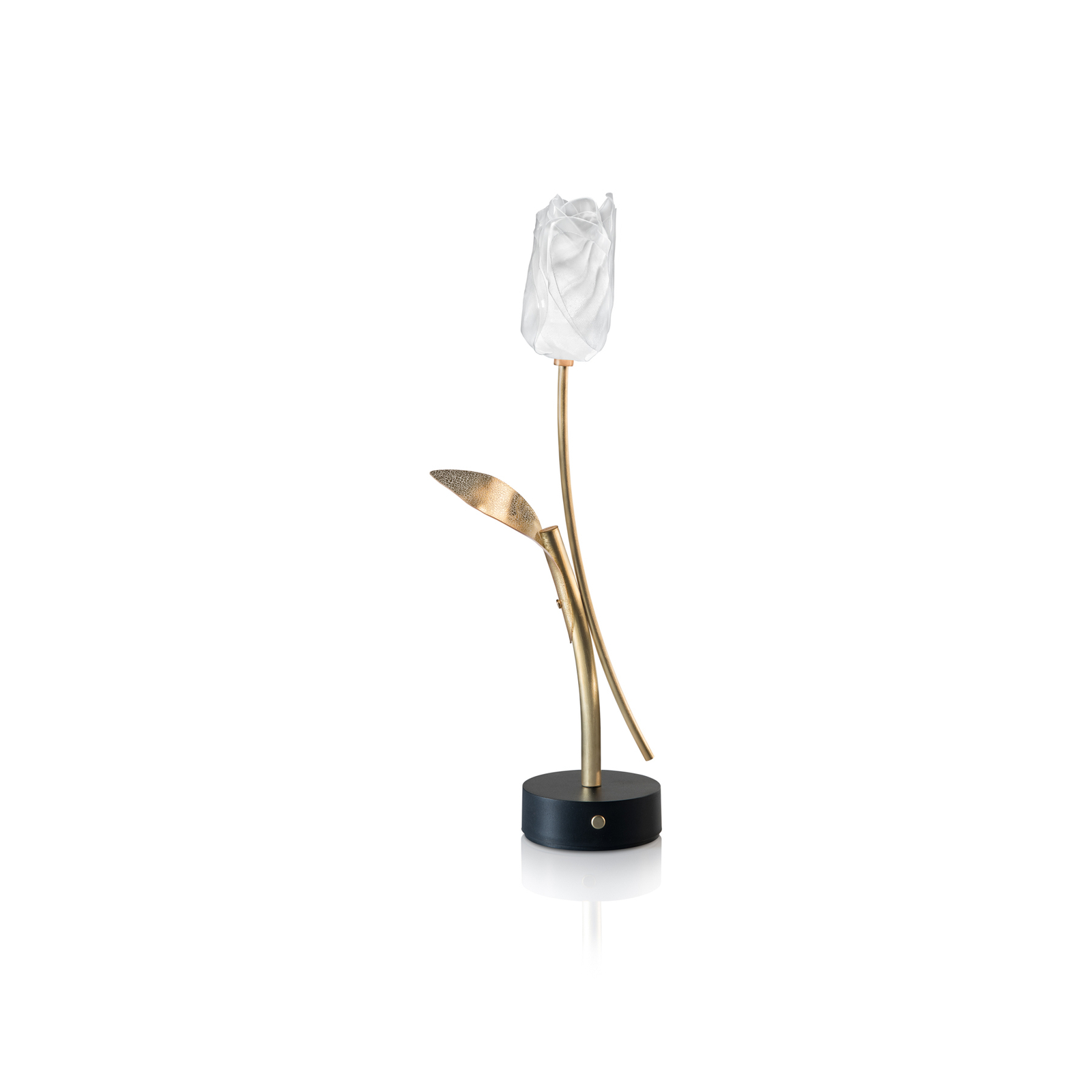 Slamp LED dobíjacia stolová lampa Tulip, čierna základňa