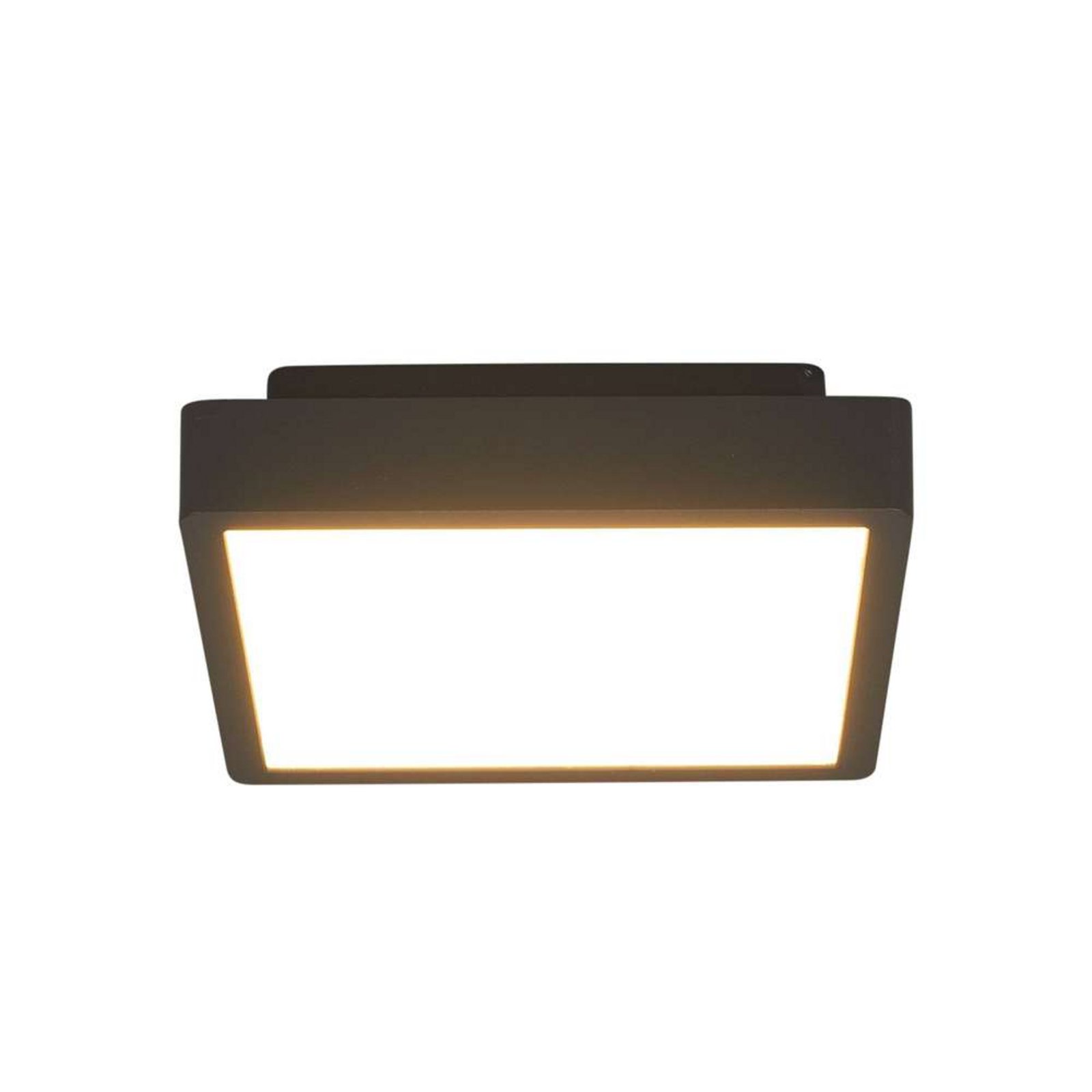 Talea LED Plafonieră de Exterior Graphite - Lucande