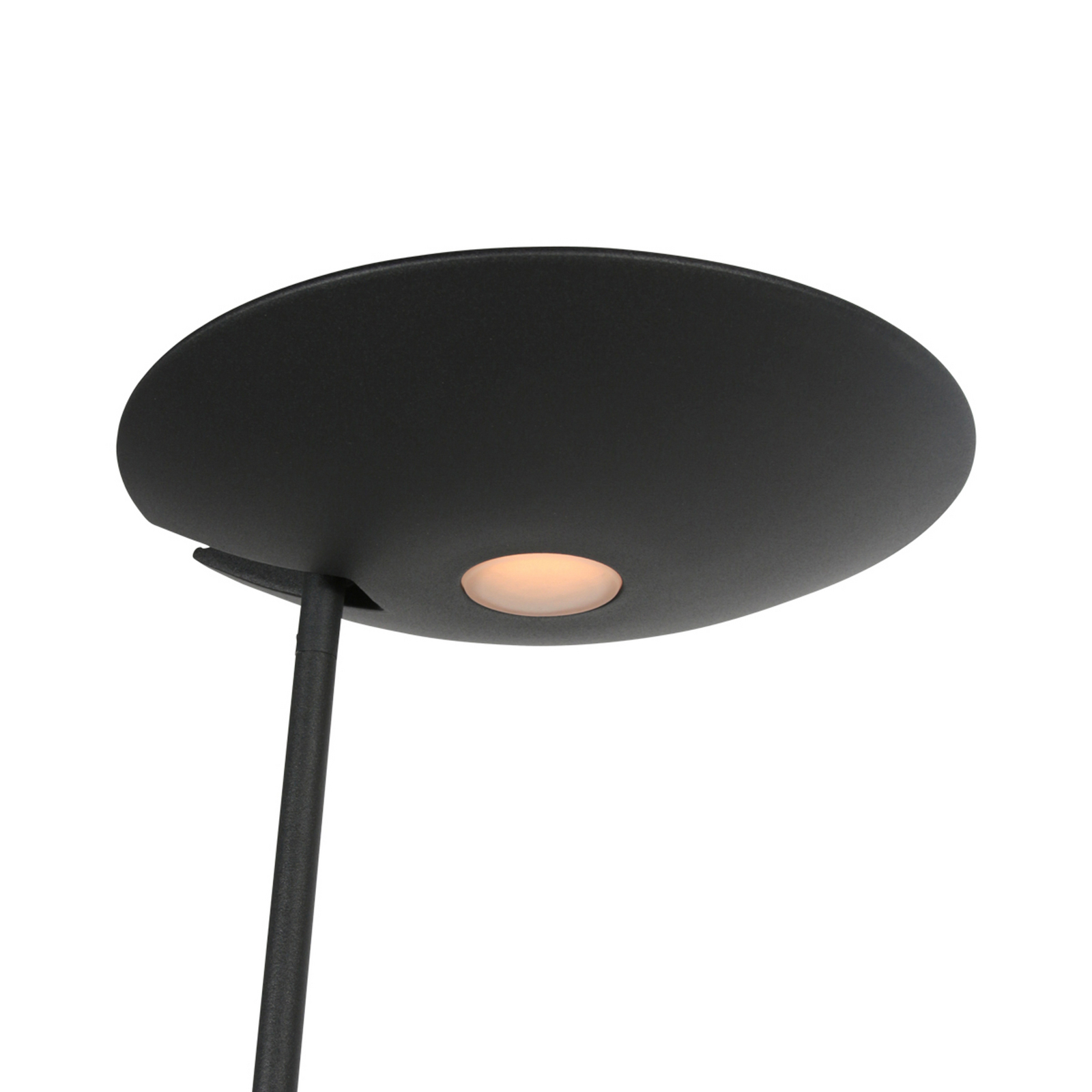 LED uplighter Daphne 2 + leeslampje zwart, CCT, afstandsbediening LED uplighter Daphne 2 + leeslampje zwart, CCT, afstandsbediening